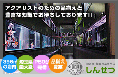 トップページ